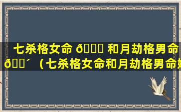 七杀格女命 🐛 和月劫格男命 🌴 （七杀格女命和月劫格男命婚姻如何）